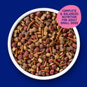 Kibbles 'N Bits Small Breed Mini Bits Savory Beef & Chicken Flavors Dog Food, 16-Pound(Pack of 1)