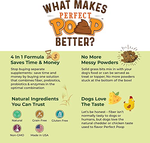 Bernie's Perfect Poop 4-in-1 Dog Digestion Supplement, Chicken, 12.8 oz | Digestive support for firm stools, diarrhea, constipation, gas and stool odor with fiber, prebiotics, probiotics and enzymes