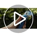 INNAV8 Garden Hose Nozzle Heavy Duty - Features 10 Spray Patterns, THUMB CONTROL On Off Valve Hose Sprayer Nozzle for Easy Water Control - Outdoor Water Hose Nozzle Head Attachment