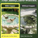 Mellbree Bird Bath Copper Disk, 0.6mm Reinforced 99.99% Pure Copper Cleaning Disk for Physical Safe Clean Water All-Season, Universal Fit for Outdoor Birdbaths, Bowl, Bird Bath Solar