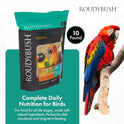 RoudyBush Daily Maintenance Bird Food, Mini, 10-Pound