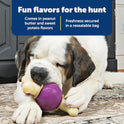 PetSafe Rawhide Treat Ring Refills, Variety Pack, Size C, Original Rawhide and Peanut Butter Flavor, Replacement Treats Busy Buddy Treat Ring Holding Toys