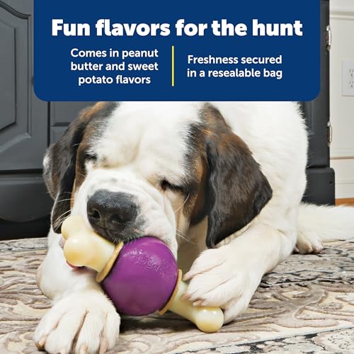 PetSafe Rawhide Treat Ring Refills, Variety Pack, Size C, Original Rawhide and Peanut Butter Flavor, Replacement Treats Busy Buddy Treat Ring Holding Toys
