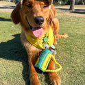 PUPROAR Golf Dog Toy, Funny Birthday Gift for Dogs, Squeaky Plush Rope Toy for Medium & Large Breeds