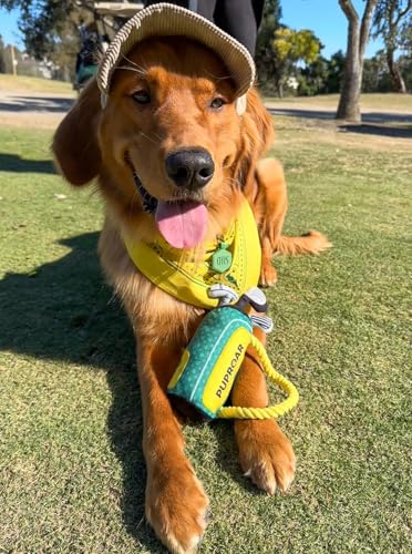 PUPROAR Golf Dog Toy, Funny Birthday Gift for Dogs, Squeaky Plush Rope Toy for Medium & Large Breeds