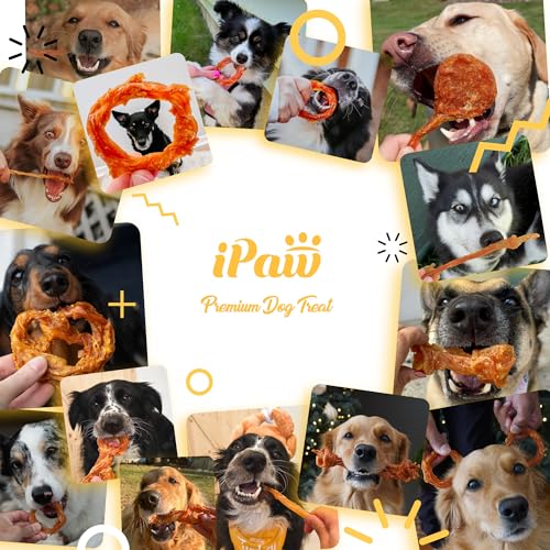 iPaw 10 Pcs Value Pack Turkey Tendons for Dogs, Single Protein, Hypoallergenic, All Natural Human Grade Puppy Chew, Rawhide Alternative Dog Treats, Ring (Small)