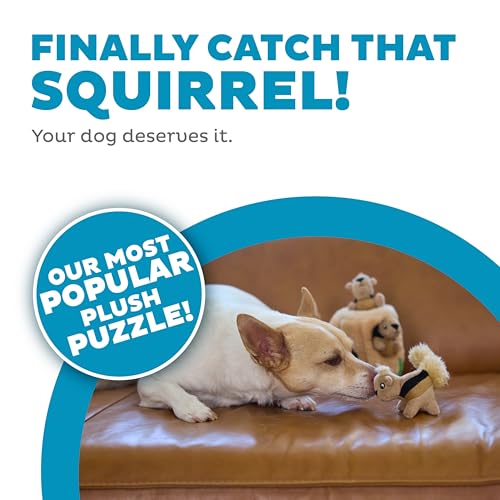 Outward Hound Hide-A-Squirrel Dog Toy – Interactive 2‑in‑1 Plush Puzzle with 3 Squeaky Removable Squirrels, Small