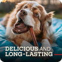 Redbarn Pet Products All Natural 5"-8" Bully Sticks for Small & Large Dogs - Healthy Long Lasting Chews Variety Party Pack - 100% Beef Single Ingredient Low Odor Rawhide Free Dental Treats - 8 oz Bag
