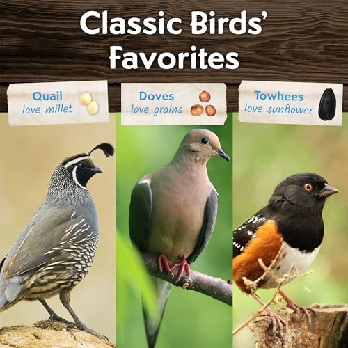 Morning Song Dove & Ground Feeding Wild Bird Seed -12 lb. Dove, Quail & Pigeon Wild Bird Food for Outside Feeders