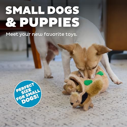 Outward Hound Squeakin’ Squirrels – 3‑Pack Plush Squeaky Dog Toys for Puppies, Small Dogs & Hide-A-Squirrel Replacements