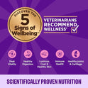 Wellness Complete Health Pate Variety Pack Kitten Canned Wet Cat Food, Natural, Protein Rich, Grain Free, Whitefish and Chicken Recipes, 3 oz, Pack of 12 Cans