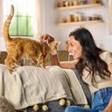 Meow Mix Tender Centers, Salmon & White Meat Chicken Flavors, Dry Cat Food, 20 lb. Bag