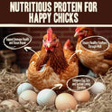 Pet Faves Dried Mealworms for Chickens, Birds, Hamster, Reptile and Turtle - Premium Non-GMO Treats with 55% Protein for Laying Hens - Organic Food for Wild Bird, Bluebirds, Robins, Cardinals. 5 Lb