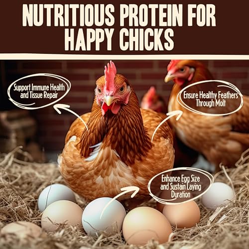 Pet Faves Dried Mealworms for Chickens, Birds, Hamster, Reptile and Turtle - Premium Non-GMO Treats with 55% Protein for Laying Hens - Organic Food for Wild Bird, Bluebirds, Robins, Cardinals. 5 Lb