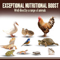 Pet Faves Dried Mealworms for Chickens, Birds, Hamster, Reptile and Turtle - Premium Non-GMO Treats with 55% Protein for Laying Hens - Organic Food for Wild Bird, Bluebirds, Robins, Cardinals. 5 Lb