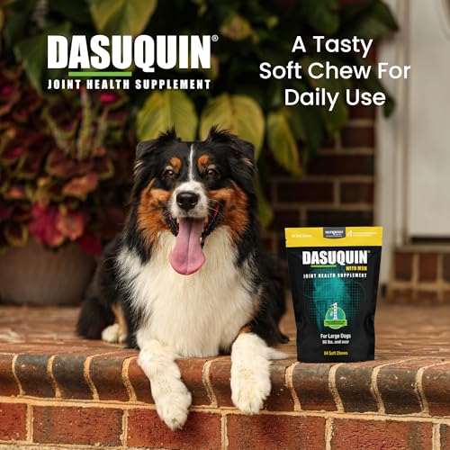 Nutramax Dasuquin MSM Joint Supplement for Large Dogs, Soft Chews, 84ct | Glucosamine and Chondroitin, ASU, MSM, Supports Healthy Joints, For Dogs Over 60 lbs, All Ages, Soft Chews