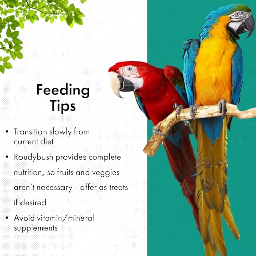 RoudyBush Daily Maintenance Food for Birds - Scientifically Formulated Bird Feed - Bird Food Pellets w/Corn, Wheat, Soy & More - Nutritious & Healthy Feed for Birds (Mini, 44oz)