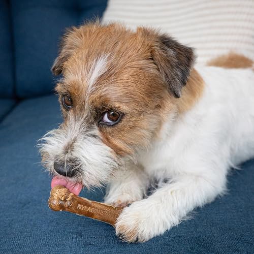 Nylabone Healthy Edibles Natural Chews, Long Lasting Dog Bones, Healthy Dog Treats, Bacon Flavor, X-Small (8 Count)