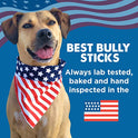Best Bully Sticks Thick 6 Inch Bully Sticks for Dogs - 5 Count (Pack of 1) - Natural, Grass-Fed Beef, Single Ingredient, Grain and Rawhide Free - Large Breeds