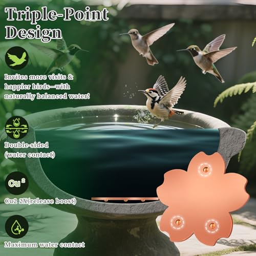 99.99% Pure Copper Bird Bath Disk, Triple Point Support Design Lower Cleaning Frequency for Physical Safe Water Purify Outdoor Bird Bowls All-Season (1, Copper Flower)
