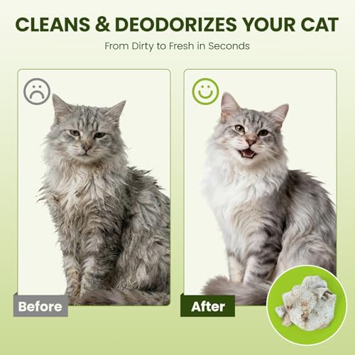 Hypoallergenic Pet Wipes for Dogs & Cats – Quick Clean & Deodorize Paws, Butt, Eyes, Ears, Face & Fur | Daily Grooming After Walks and Between Baths | Extra Large & Thick | Coconut Scented, 400 Count