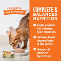 Instinct Original Grain Free Recipe Variety Pack Natural Wet Canned Cat Food by Nature's Variety, 3 Ounce (Pack of 12)