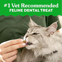 Greenies Cat Treats, Feline Veterinarian-Recommended Adult Natural Dental Cat Treats, Savory Salmon Flavor, 9.75 oz. Tub