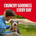 Milk-Bone Original Dog Treats Biscuits for Medium Dogs, 10 Pound