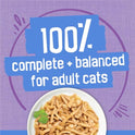 Purina Friskies Shreds Turkey and Cheese Dinner in Gravy High Protein Wet Cat Food - (Pack of 24) 5.5 oz. Cans