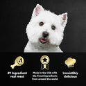 Cesar Loaf in Sauce Wet Dog Food Rotisserie Chicken, Filet Mignon, Angus Beef, and Ham & Egg Flavors Variety Pack, 3.5 oz. Easy Peel Trays (24 Count, Pack of 1)