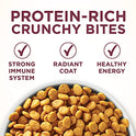 Purina ONE High Protein Dry Cat Food, +Plus Urinary Tract Health Formula - 3.5 lb. Bag