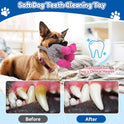 loncoldy Plush Chew Toys for Large Dogs, Tough Crinkle Stuffed Animal Squeaky Interactive Toys for Small Medium Large Dogs, Keep Them Busy, Big Pet Toys