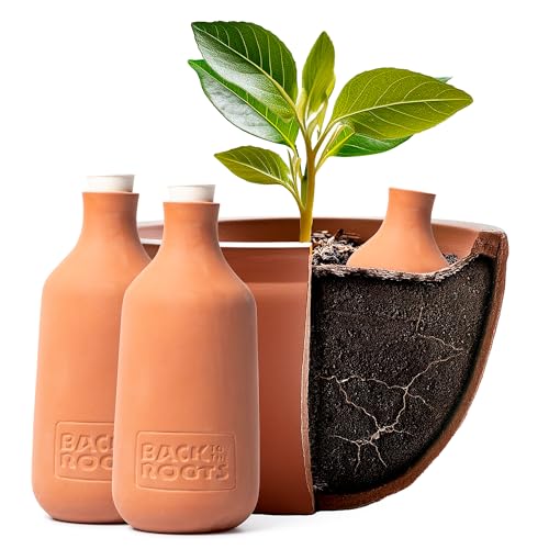 Back to the Roots Self-Watering Terracotta Olla Pot (Pack of 3), 700mL Provides 1 Week of Precision Watering
