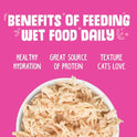 Weruva Classic Cat Food, Classic Combo Trial Variety Pack, 3oz Can, Pack of 4