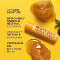 Burt's Bees 100% Natural Moisturizing Lip Balm (Original Beeswax)