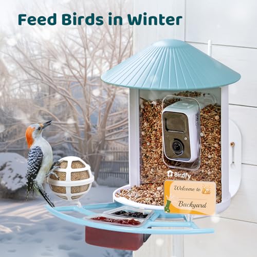 NETVUE by Birdfy Pro Perch - Wider Extension Perch to DIY Add-ons Including Suet Ball, Mini Hummingbird Feeder, Fruit Holder, Jelly Feeder and Welcome Card, Ideal for Bird Lover (Blue)