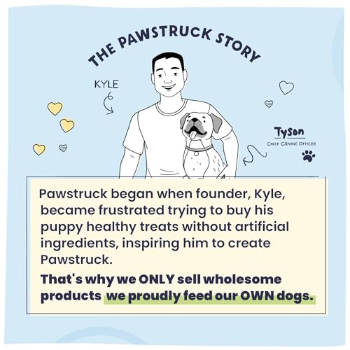 Pawstruck Natural Knee Cap Dog Bones - Treats for Aggressive Chewers, Low Fat & High Protein Chews, Beef Flavor, Long-Lasting Rawhide Alternatives - 10 Pack, Packaging May Vary