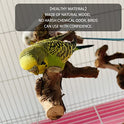5PCS Bird Perch Stand Natural Wooden Parrot Stand Branch,3 Grape Wood Perch,2 Stand,Paw Grinding Fork Parakeet Chewing Stick Exercise Training Branches for Cockatiels,Small Medium Birds