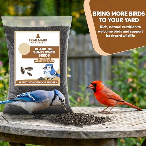 3 LB Black Oil Sunflower Seeds for Birds – Premium Wildlife & Bird Food – Grown in USA - Non-GMO - Black Oil Sunflower Seeds for Wild Birds and Backyard Feeders