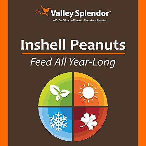 Red River Commodities 347 Peanuts In A Shell 3lbs.