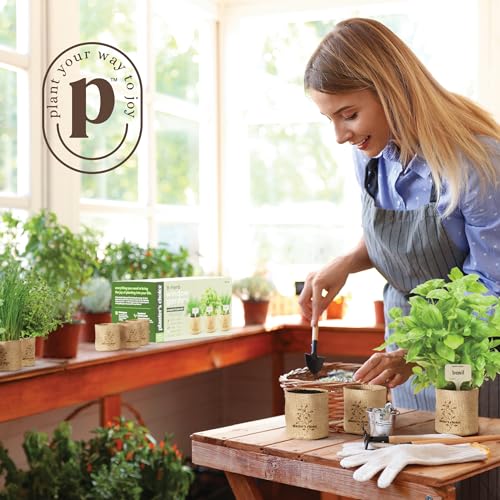 9 Herb Indoor Window Garden Kit - House Plants Seeds - Birthday Gifts | Best Unique Gift Ideas for Women, Mom, Friend, Her, Housewarming, Mother - Live Plant Starter, Gardening Lovers