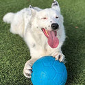 Jolly Pets Large Soccer Ball Floating-Bouncing Dog Toy, 8 inch Diameter, Ocean Blue