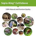 Sepia King - Medium - 100% Natural Calcium Supplement - Premium Cuttlebone Perfect for Birds, Tortoises, Snails, Reptiles - 12 Pack