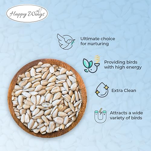 Happy Wings Sunflower Hearts & Chips - Sunflower Kernels and Chips Bird Food - 5 Lb No Mess, No Waste I No Grow Seed | Bird Seed for Wild Birds