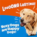 Purina Busy Bone Adult Dog Chew Bone Treats, Peanut Butter - 10 ct. Pouch
