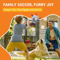QDAN Dog Balls, World Cup Soccer Ball with Straps, Durable Herding Balls for Small Medium Pet, Puppy Birthday Gifts, Dog Water Toy, Pet Toys Puppy Ball (6 Inch)