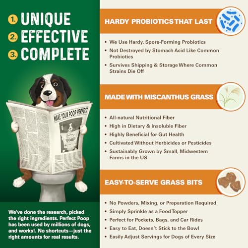 Perfect Poop Digestion & General Health Supplement for Dogs: Fiber, Prebiotics, Probiotics & Enzymes Relieve Digestive Conditions, Optimize Stool, and Improve Health (Cheddar Cheese, 12.8 oz)