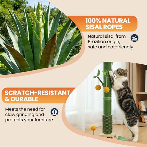 53" Tall Cat Scratcher Tree