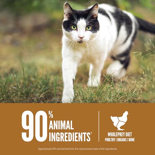 ORIJEN Grain Free High Protein Premium Dry Cat Food Original Recipe 4lb Bag