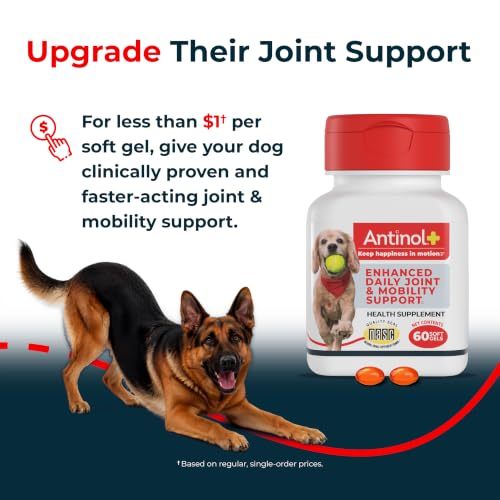 Antinol Plus Mobility Hip & Joint Supplement for Dogs, 120 Soft Gels | Green-Lipped Mussel Oil and Krill Oil for Better and Faster Results than Glucosamine and Chondroitin